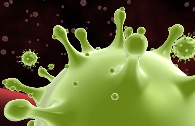 Latest lab tests suggest Coronavirus may not survive summers