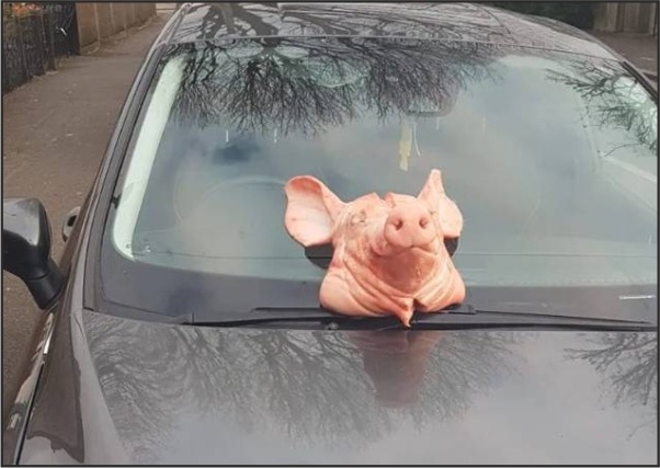 Female cop feels terrified and violated because someone left a pig’s head on her car