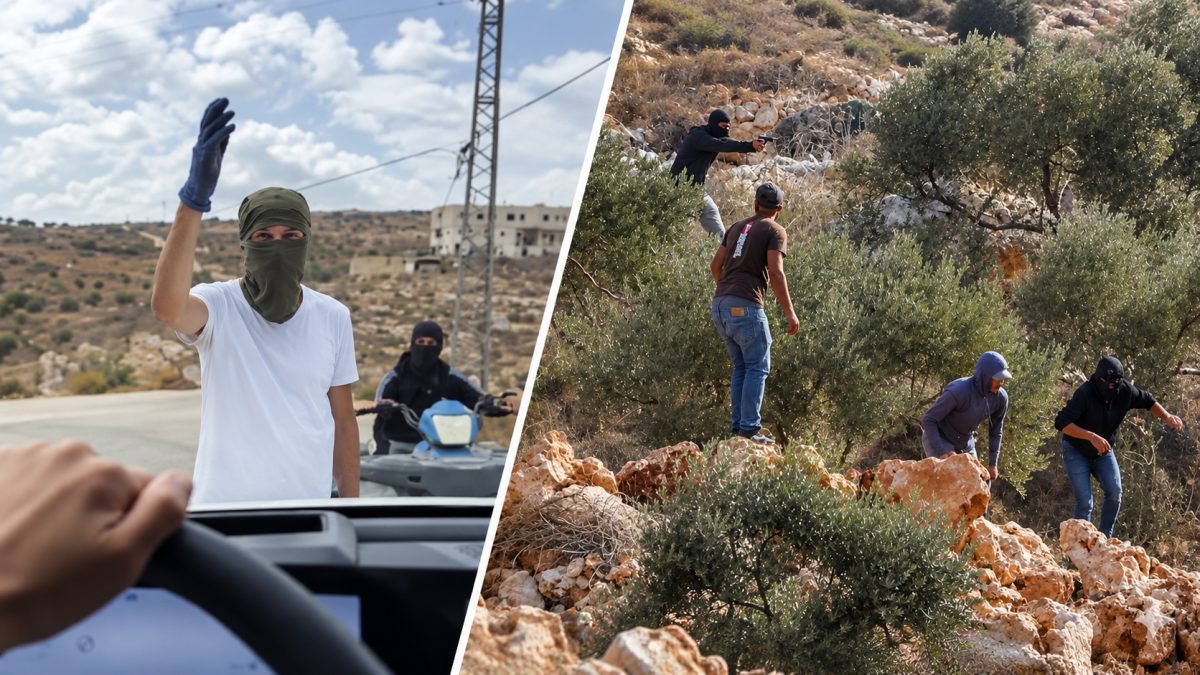 European Diplomats Attacked by Israeli Settlers in West Bank Olive Grove Raid